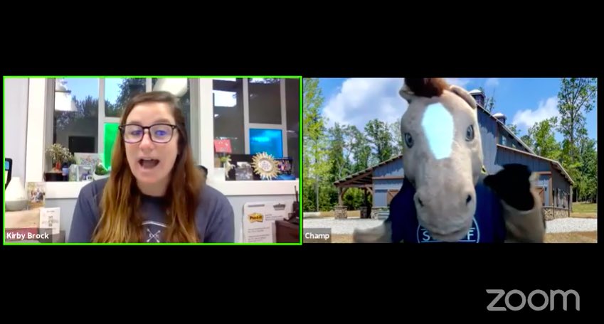 Welcome back <a href="/RoundMeadowElem/">Round Meadow Elem.</a> Colts!!! 🐴💙