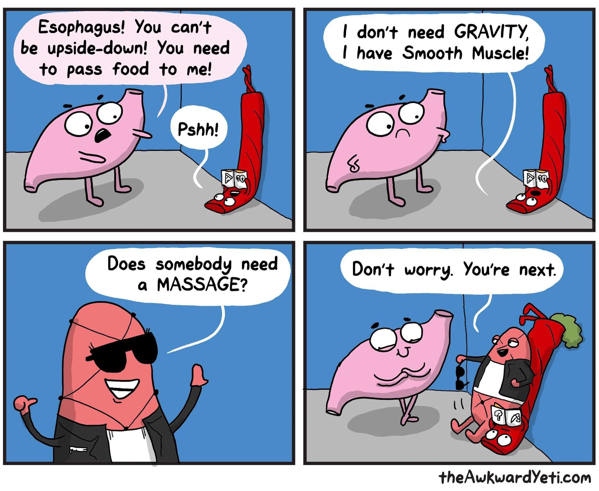 the Awkward Yeti (Nick Seluk) on Twitter: the Awkward Yeti (Nick Seluk) on Twitter: