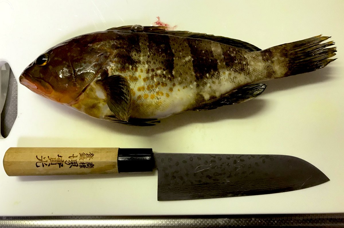 ひるとんび 沼津サーフ夜の投げ釣り部 ひるとんび 沼津サーフ夜の投げ釣り部