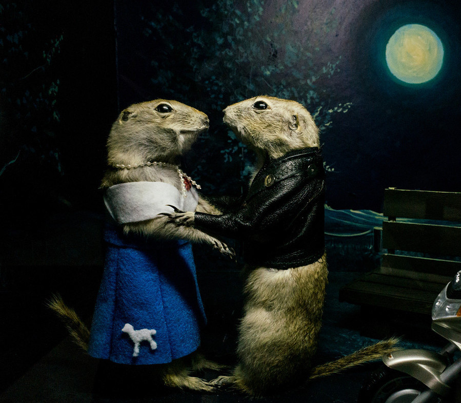 Only two more no-real chances to buy a fake ticket to a show that doesn't exist  Gopher Hole, The Musical <a href="/edmontonfringe/">Edmonton Fringe</a> 2020. Bring all your imaginary friends!
 
Your $10 donation supports indie theatre, and proves your excellent taste in satire.
tickets.fringetheatre.ca/event/601:3408/