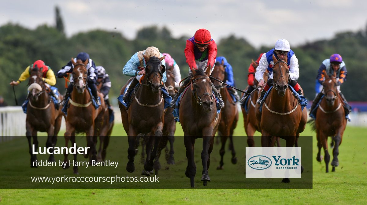 thehannahali's tweet photo. Lucander and @HarryBentley_ weave well through the field to assert themselves late and win the @SkyBet Handicap Stakes for @RalphBeckett - our penultimate race of the #EborAtHome at @yorkracecourse https://t.co/fuhCZb2muh