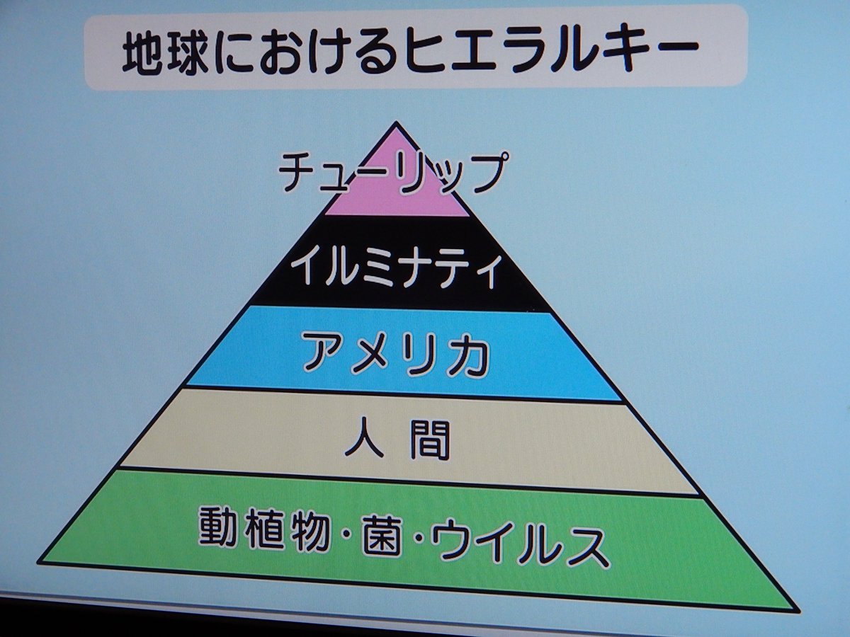 つち瓶 Eテレの番組の攻め方がすげえwww 猫ひろしと舘ひろしを並べる光景を始めてみた 笑 つち瓶 Eテレの番組の攻め方がすげえwww 猫ひろしと舘ひろしを並べる光景を始めてみた 笑