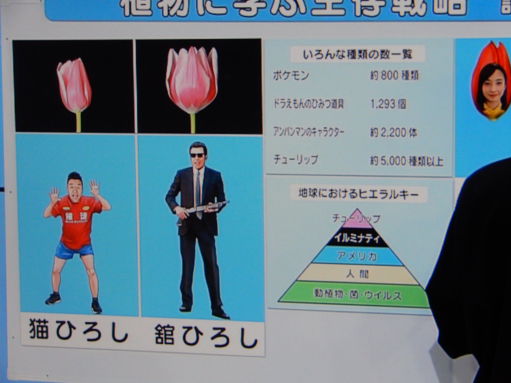 つち瓶 Eテレの番組の攻め方がすげえwww 猫ひろしと舘ひろしを並べる光景を始めてみた 笑 つち瓶 Eテレの番組の攻め方がすげえwww 猫ひろしと舘ひろしを並べる光景を始めてみた 笑
