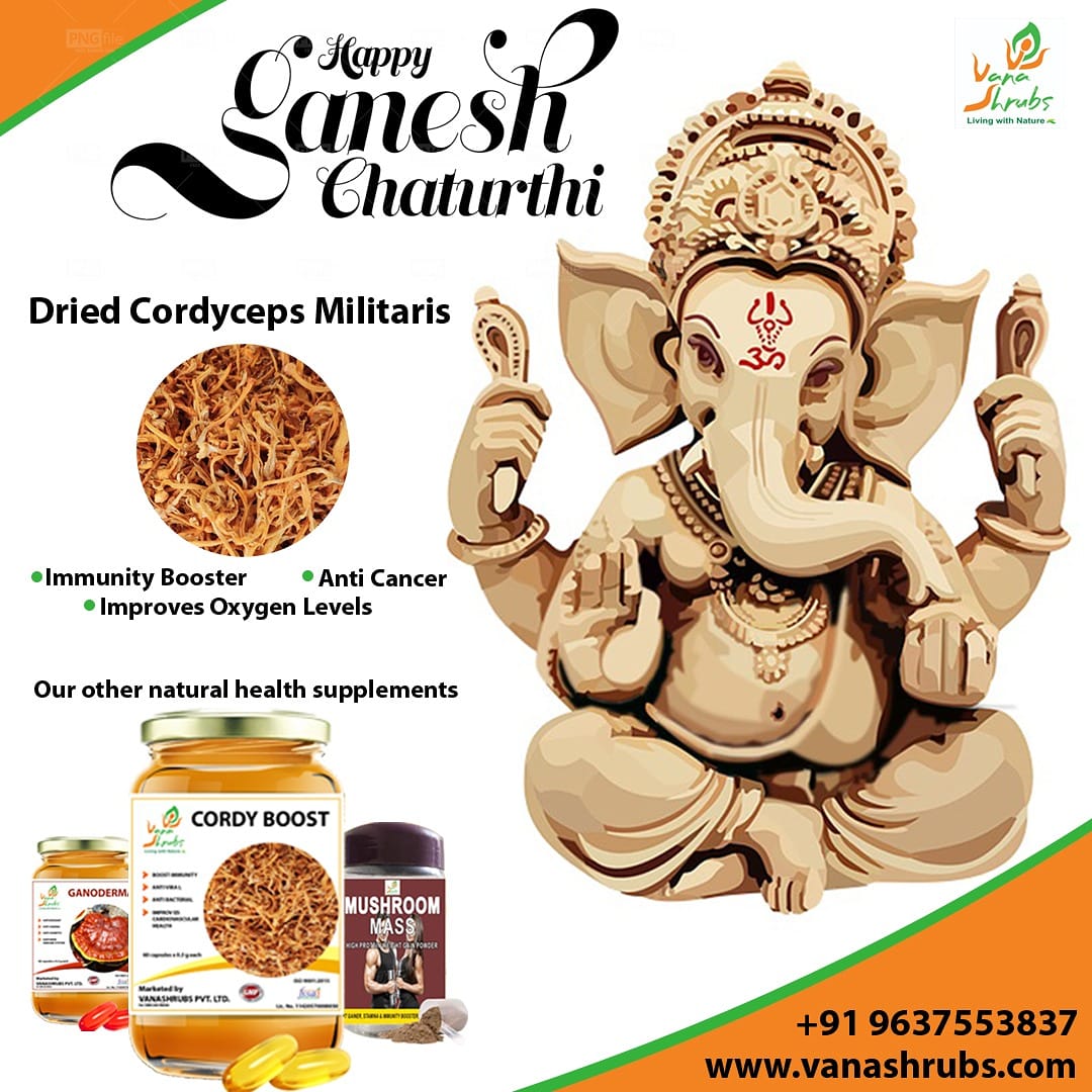 vanashrubs's tweet photo. Wishing everyone a Happy Ganesh Chaturthi. 
May Lord Siddhivinayaka bless you on every path you follow in your life.
#HappyGaneshChaturthi https://t.co/8Pb8pSql76