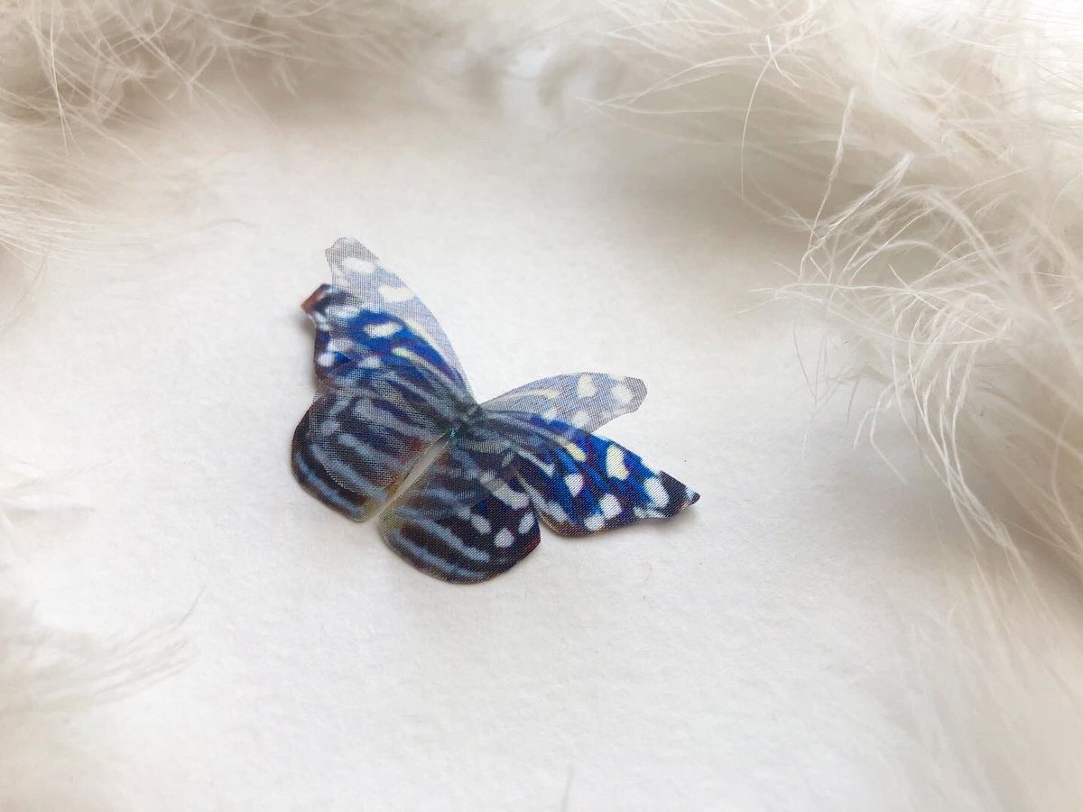 SilkWorkshop's tweet photo. New Butterfly is ready!❤️
Handmade, silk
#silkbutterfly #handmadewithlove #handmadegifts #etsygifts #etsyhandmade #alinazadorozhna #ohmybutterfly #butterfly #butterflybabe #butterflyeffect #butterflyjewelry https://t.co/E9OxUg97uY