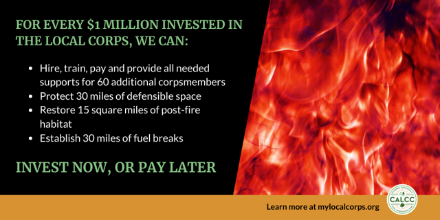 WeLoveStewards's tweet photo. CA is struggling with a lack of resources for wildfires. An investment in #localcorps will save CA money, both in human capital and prevention of climate change-related issues such as wildfire. #cagreenstimulus2020 @AsmEGarciaAD56 @AsmReyes47 @Portantino @AsmMarkStone https://t.co/w3nRFUIxTS