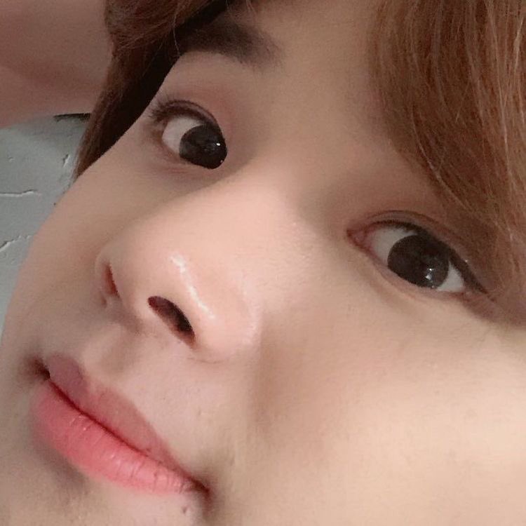 ･῾𓈒 * ﹆ 𝚓𝚞𝚗𝚐𝚠𝚘𝚘 ⋆⁺₊⋆🦋🥕🥚 tweet media