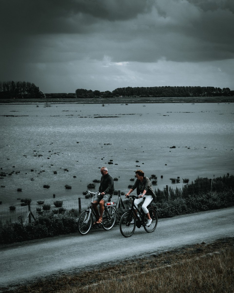 Life is like riding a bicycle To keep your balance, you must keep moving   #zwin #natureshooters #cadzand #knokkeheistgram #sheep #staycation #knokke #belgianroamers #belgianblogger instagram.com/p/CEMtT-ZjzRv/