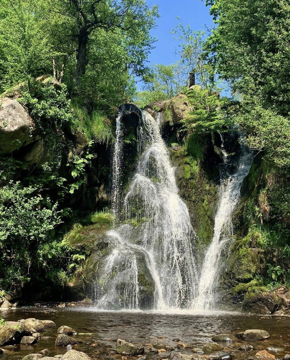 📍Valley of Desolation, Skipton

A dramatic name for an area featuring a dramatic waterfall. These stunning falls can be found near Bolton Abbey in Skipton, North Yorkshire. 

(📸IG/the.yorkshirewalker)