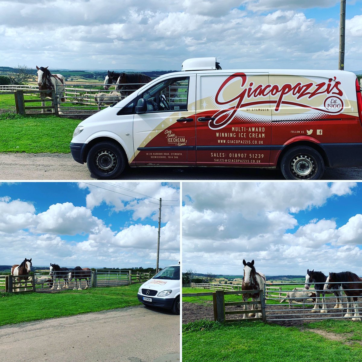 Giacopazzis's tweet photo. Wee visit to @infomhha Hay Farm Heavy Horse Centre last week where we made some new friends and they loved a pic with the van! ππ΄ π¦β€οΈ#horses #getupclose #nature #visitorcentre #schoolholidays #familyfun #thingstodo #mustvisit #northumberland #icecream #deliverylife https://t.co/BWMaetT9uQ