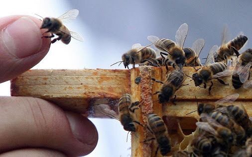 Irmak tweet media
