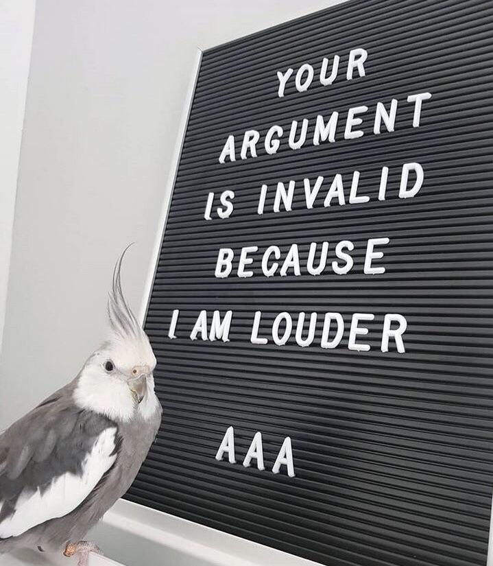 owl_irritable's tweet image. 