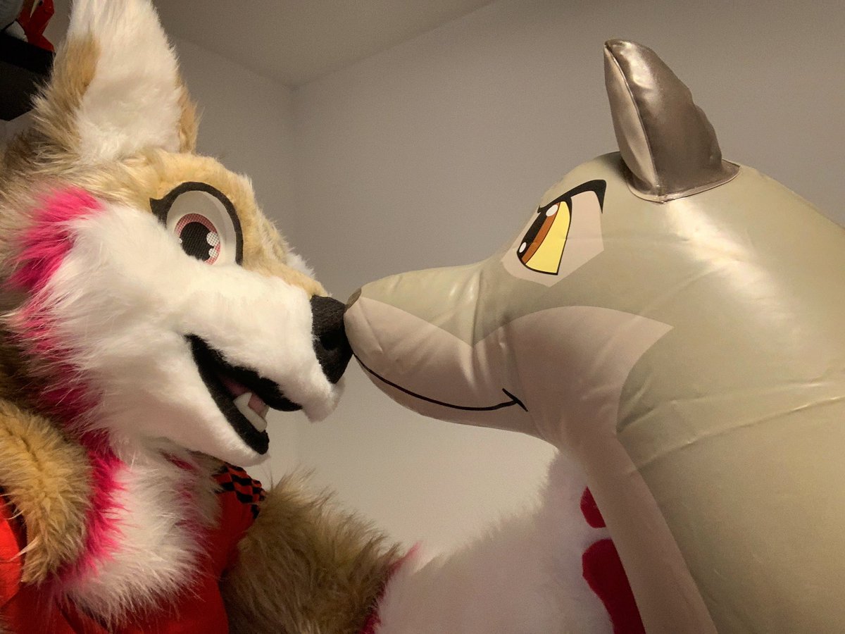 *boop* Always one of my favorite Squeaks. ❤️ #pooltoy #inflatable #furry #fursuit #aufblasbar #squeaky #husky #wolfdog #balto