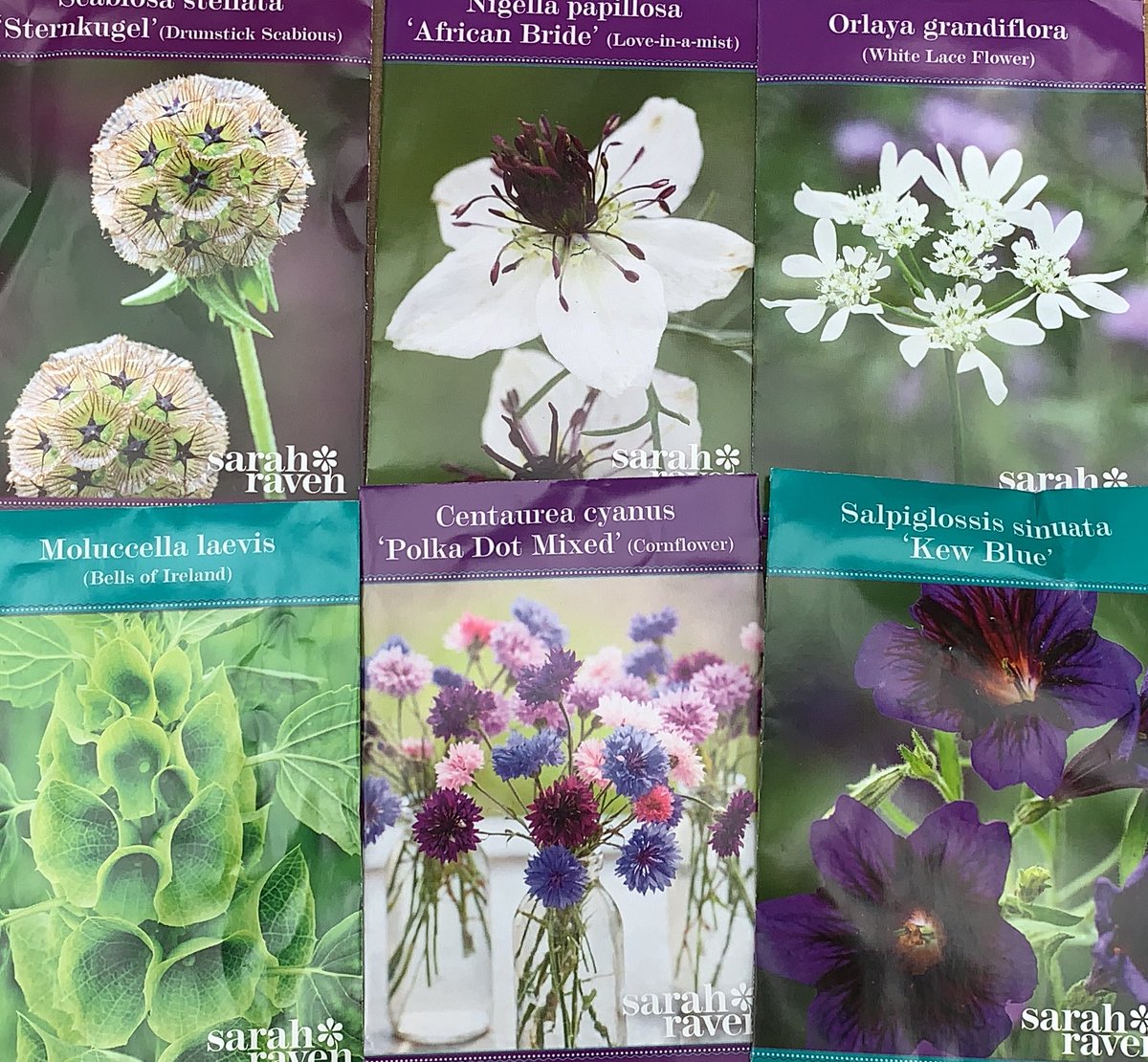 CandyRowe_'s tweet photo. My #SixOnSaturday for 2021 - you guessed it, my Sarah Raven seeds arrived today... #GetSowing #CantWait https://t.co/QDAGDO9ISx