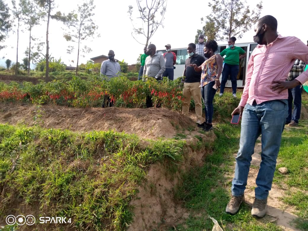 promulindwa's tweet photo. Today, in the framework of inter-district partnerships, with pleasure, we hosted the team of Councillors of @NyanzaDistrict and had fruitful exchanges about how @rulindodistrict & @SAIP_RCSP are valorizing #Muyanza agricultural scheme @RwandaAgri @RwandaAgriBoard https://t.co/hWPXHYi8sR