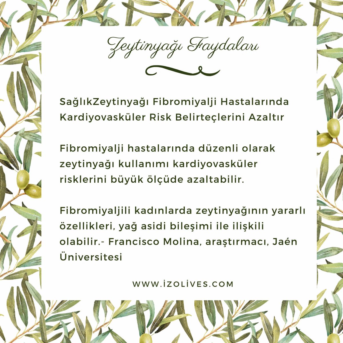 Zeytinyağının faydaları . 
Kaynak: oliveoiltimes.com/tr/ 
#erkenhasatzeytinyağı#mutzeytinyağı#zeytinyağı
izolives.com