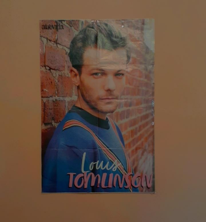 i have a louis poster in front of my bed, and every night when i go to sleep i cry looking at him, my head comes up every time i talked about him to my friends, i remember i wont go on his tour i would to be so important to me, I already had everything planned,+