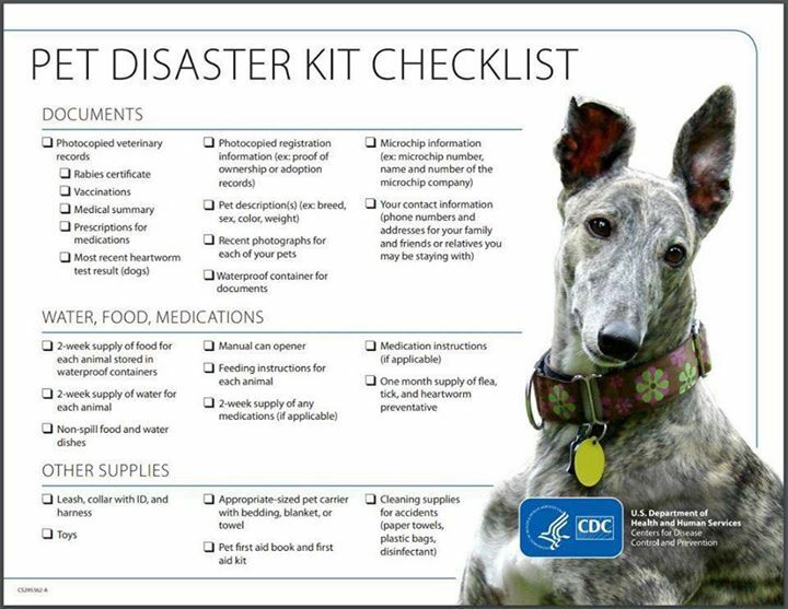 HurricanesPets's tweet photo. Facebook link: https://t.co/IyNRS51DCk https://t.co/OLlLqpuDuP