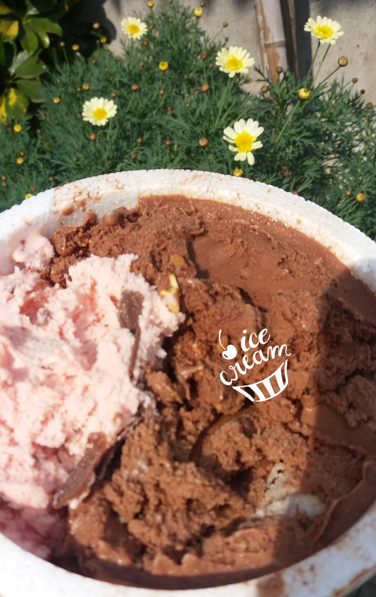 @heladosdaniel dulce de leche bombón https://t.co/2XimdzgP15