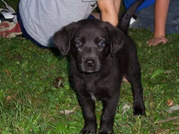 11 years ago today my dad brought her home 🎉