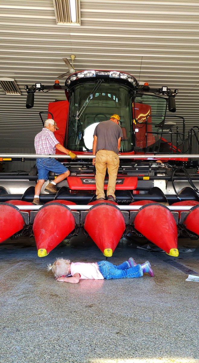 3pistils's tweet photo. Shop day Saturday! Put the twins down and instant smiles! This is what its all about right!? 🥰🚜🛠 @DollingerFarms
#family #farm #farmlife #farmfamily #illinoisfarmfamilies #farmmom #farmwife #farmgirl #twins #toddler #harvest2020 #caseih #geringhoff @geringhoff @caseih https://t.co/a55OhIu52B