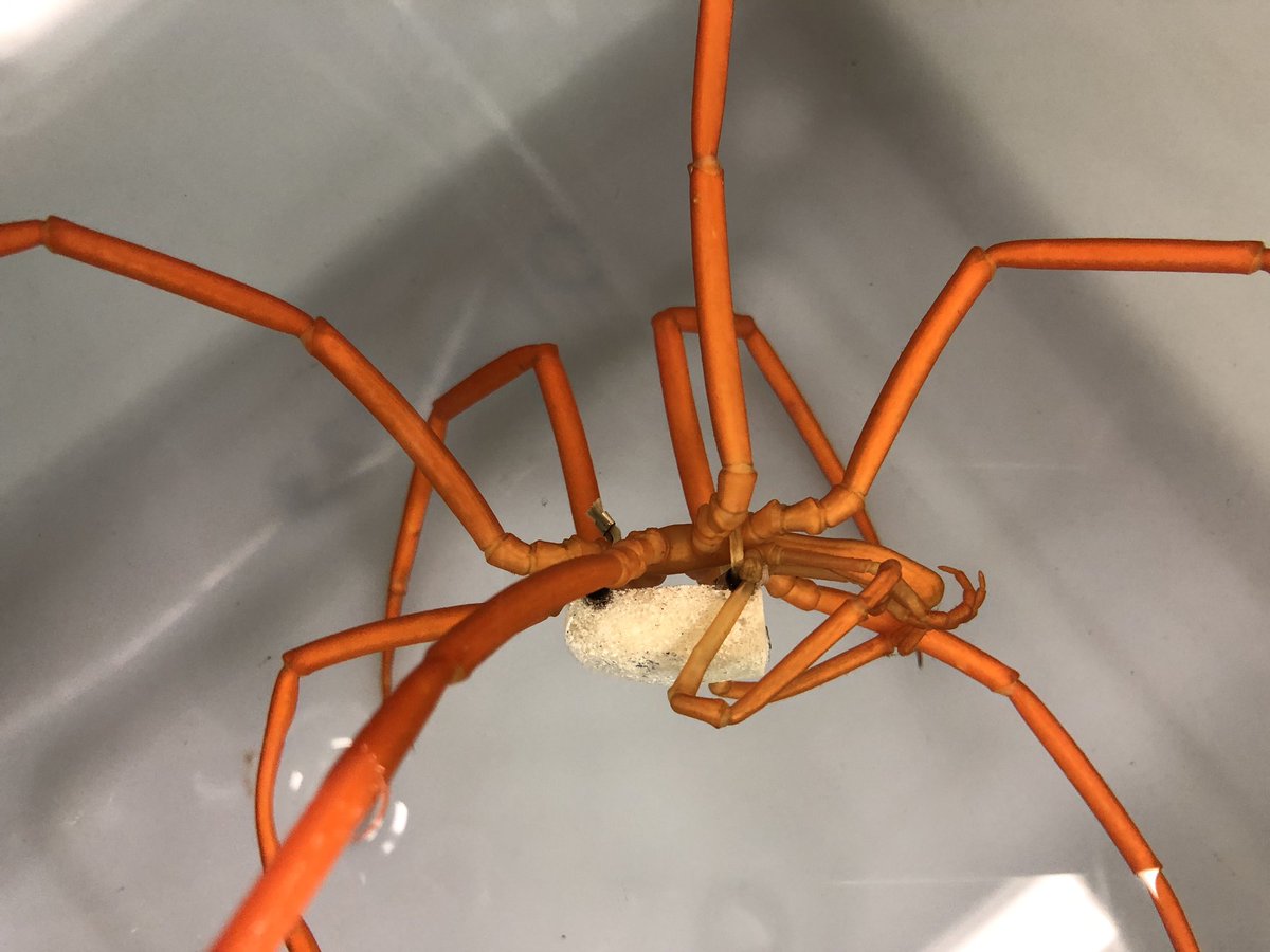 Amy Moran tweet media