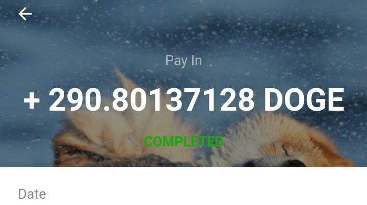 AirdropsBlack's tweet photo. 100% Payment Receive 

Link: https://t.co/hxrT1hUHLa

🖍️Note all  Mandatory Tasks

☑ Complete done invite your
☑friend earn unlimited

Don't miss 100% paying
Minimum withdraw 25 doge https://t.co/kZYNb91yIf