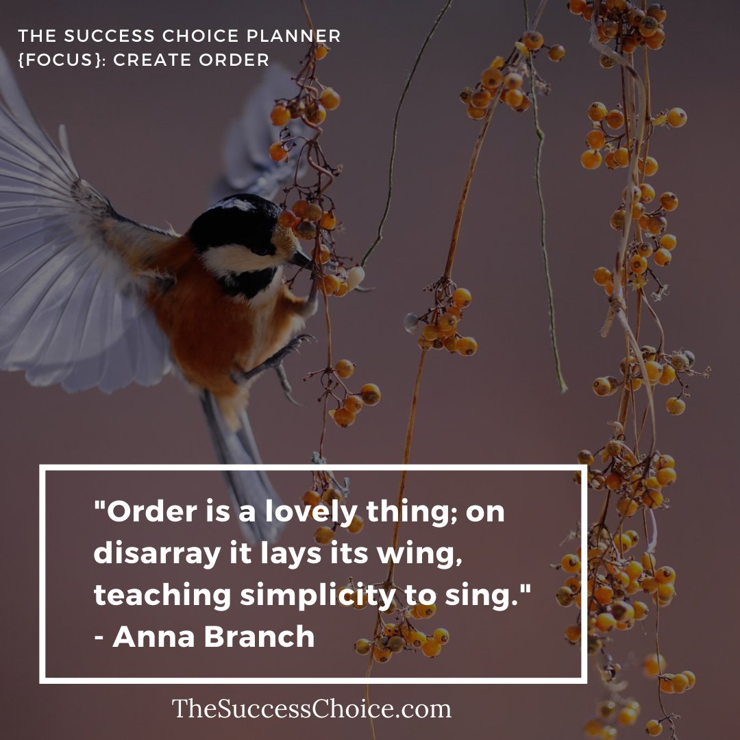 SuccessChoice's tweet image. The Success Choice Planner {Focus}: Create Order
"Order is a lovely thing; on disarray it lays its wing, teaching simplicity to sing." - Anna Branch
#thesuccesschoiceplanner
#thesuccesschoice
#createorder