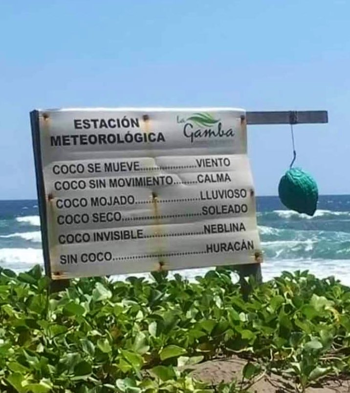 MastersOfNaming's tweet photo. Fiabilidad: 99.9%
#MastersOfSigns 🥥 https://t.co/SKrimhEE1s