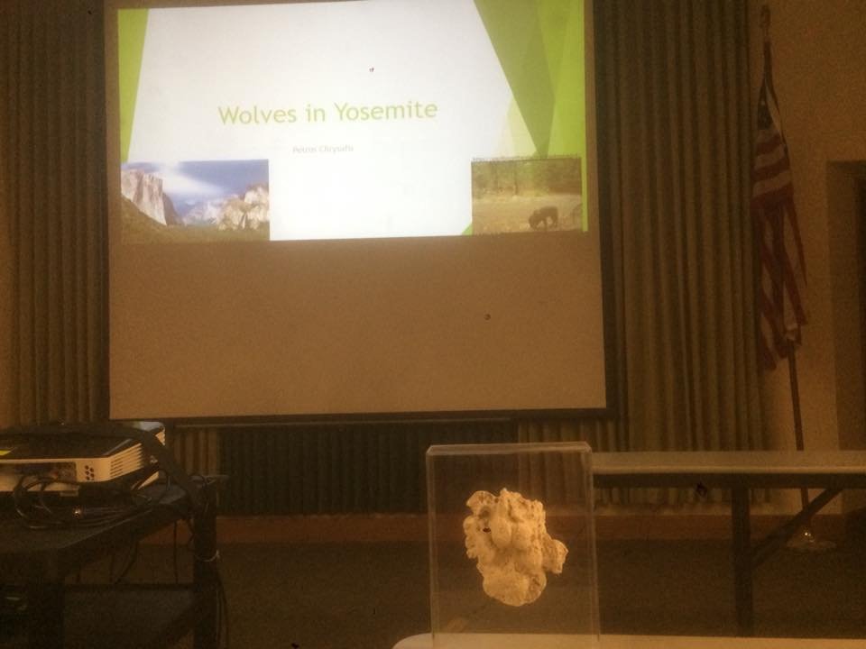 Being proactive means that hopefully 1)livestock producers are more knowledgeable about wolves and their non-lethal options 2)They have someone to turn to for help and 3) find the non-lethal options interesting and attractive enough to adopt ahead of time for other predators.