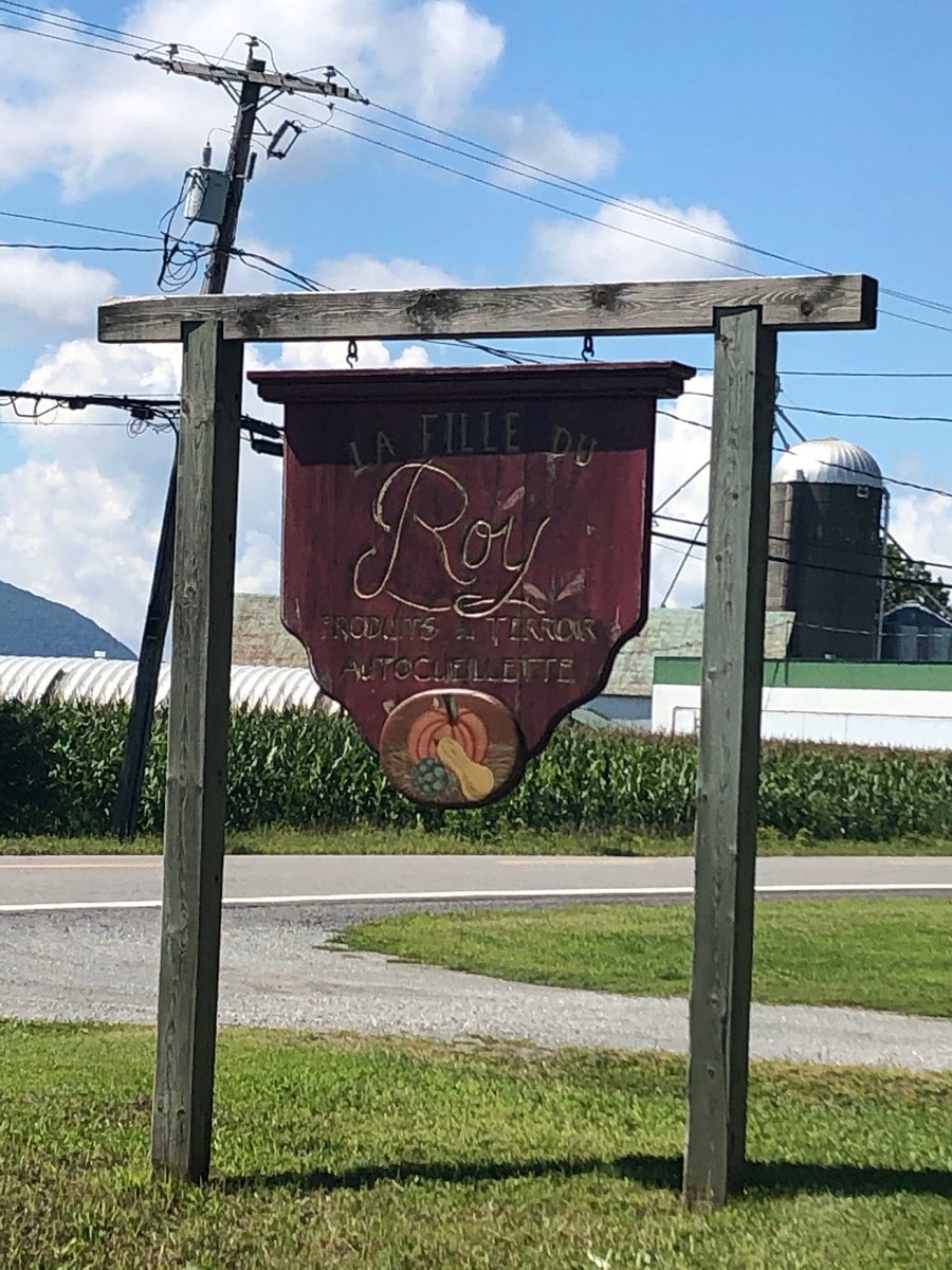Cueillette d’artichauts 🥦 (@ La Fille Du Roy in Sainte-Marie-Madeleine, QC) swarmapp.com/c/hVcwlLnLdXW