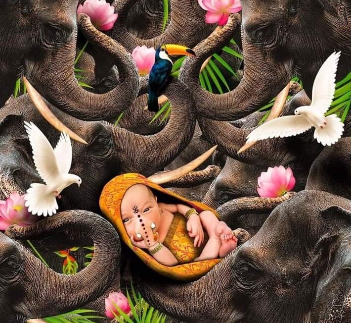 JfgaJharkhand's tweet photo. #HappyVinayakaChathurthi
#SaveAnimals 
#GiveThemTheirShareIn #NaturesLap https://t.co/Cfb0xrN5Z6