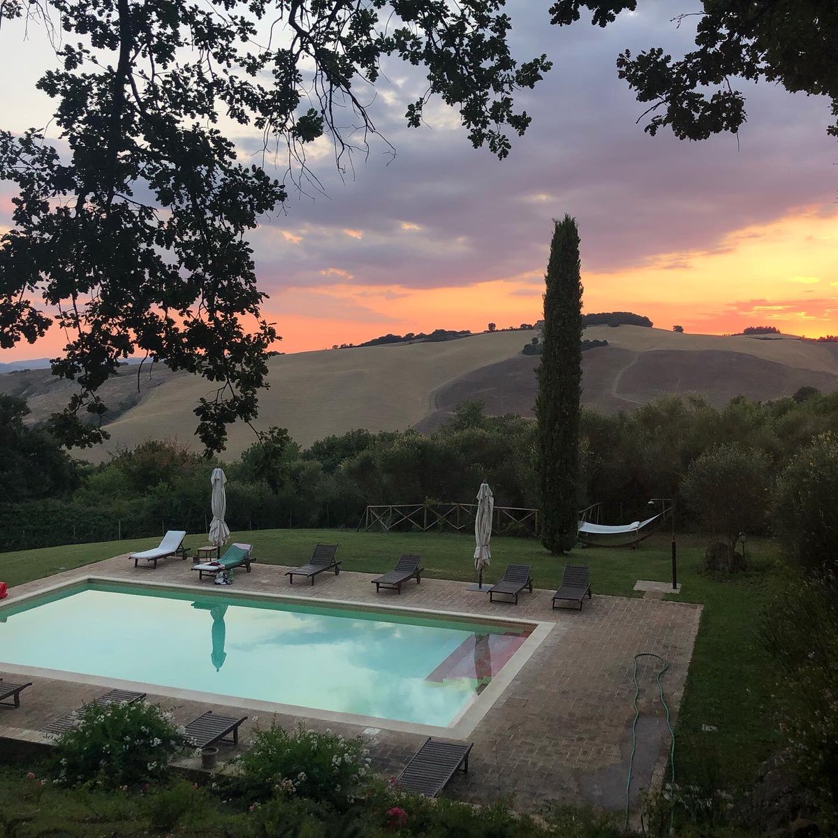 RosaPolacco's tweet photo. Val d’Orcia del mio 💚
#lemacchie https://t.co/nNb8Q7jgdg