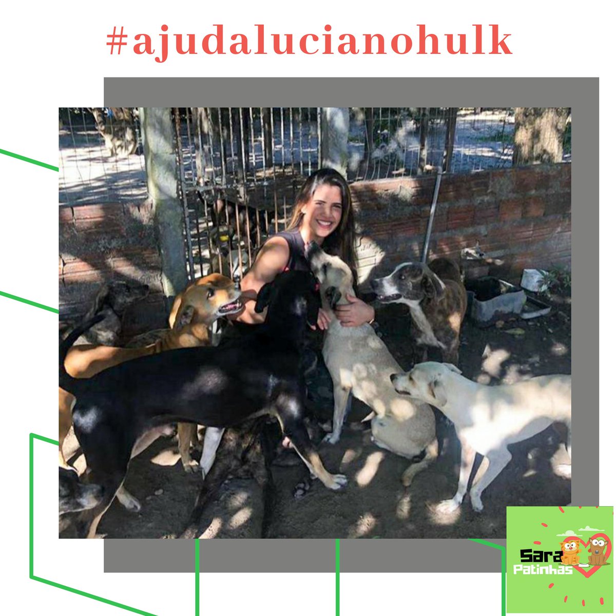 sarapatinhas's tweet photo. Boa tarde gente! Preciso da ajuda de vcs novamente. Quero subir uma hashtag com #ajudalucianohulk pra eu conseguir construir o muro de proteção para os animais. Marquem o @LucianoHuck e me ajudem a subir a hashtag, pfv! 🙏🏽🥺 https://t.co/C37vA3sdC5