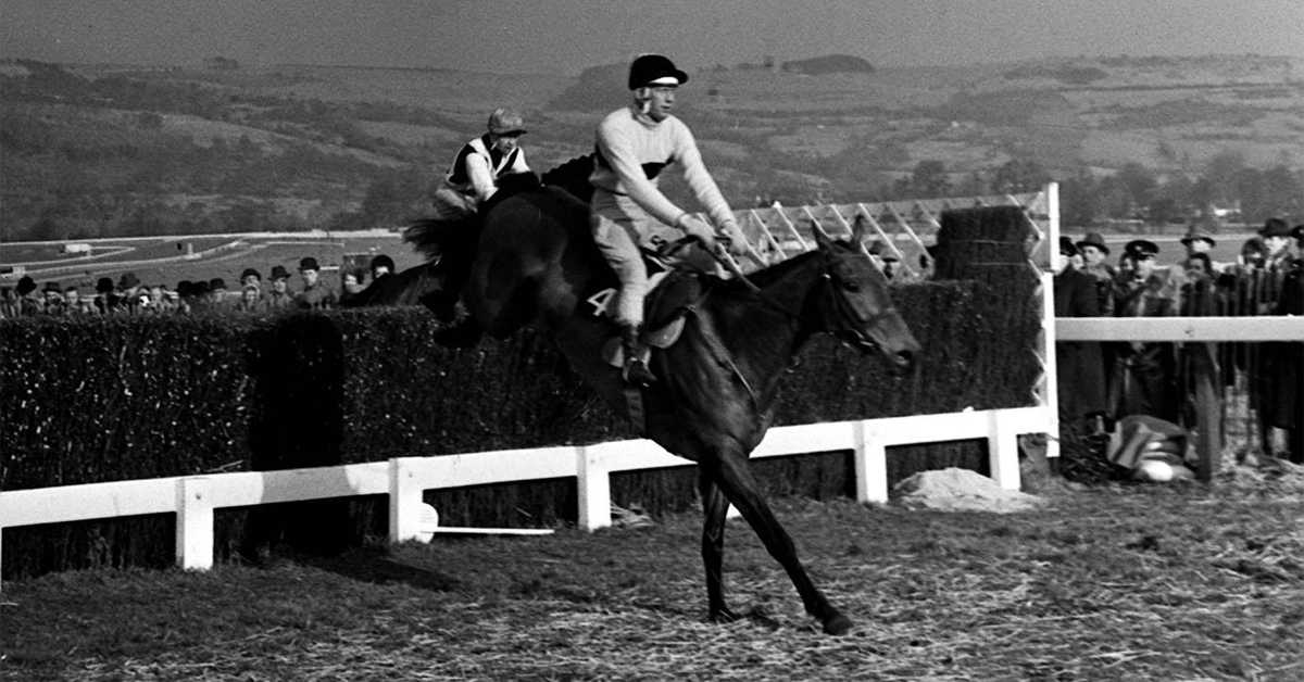 Timeform's tweet photo. If you could go back in time to watch any race from the past, which would you choose? ๐คโ๏ธ https://t.co/a6cEaT1SD8