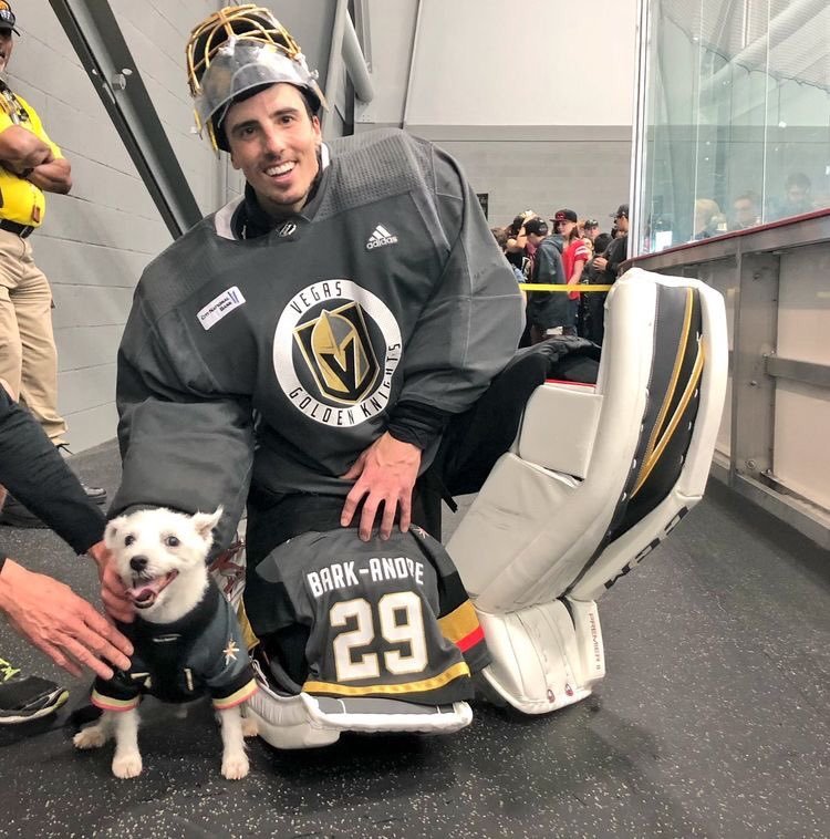 Let's flood Twitter with great pictures of Fleury to push away all this negativity #VegasBorn  