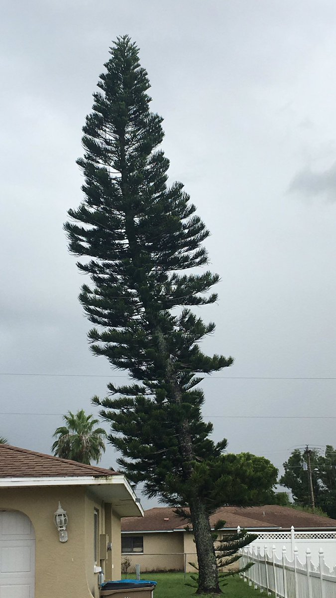 *i guess I’ll play for a few more hours* 
My spine: