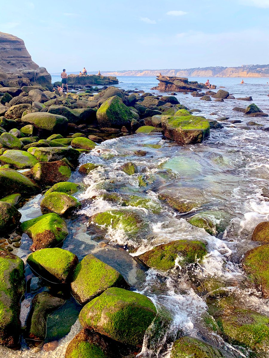 GabrielaDow's tweet photo. More beautiful photos from #LaJolla #SanDiego yesterday. Gorgeous views from George’s Terrace & @LaValenciaHotel 💛✨ Love the new #BlackLivesMatter #mural on #ProspectStreet - my boys loved snorkeling at the cove, seals, pelicans, gulls, sunset & sushi! #SoCal #Family #Summer https://t.co/EKY3jdZImT