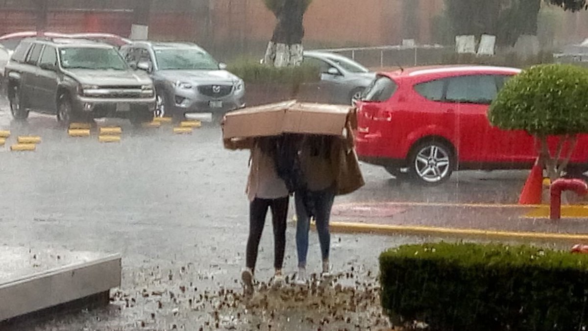 EldOutofcontext's tweet image. 