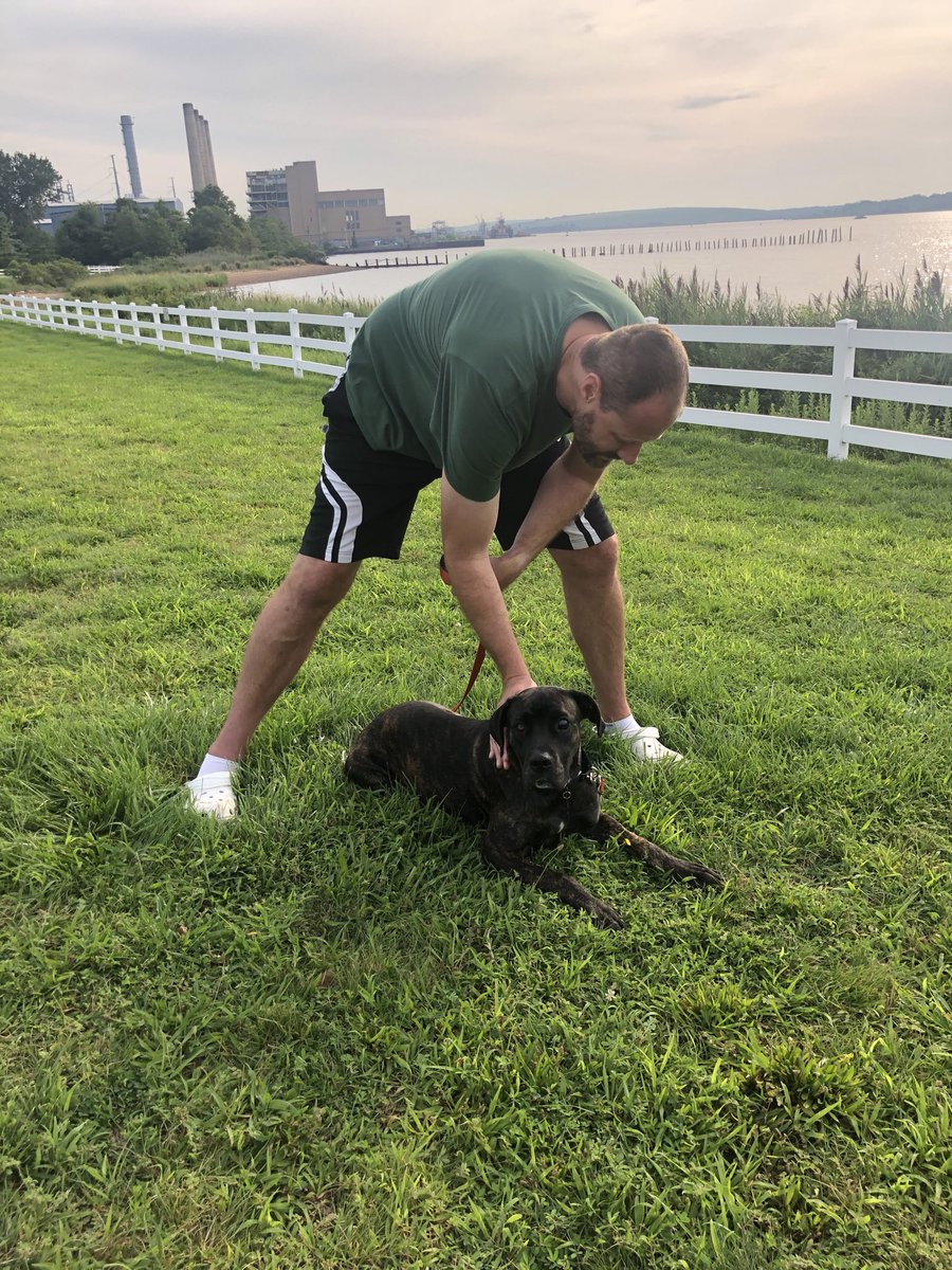 basdevoogd's tweet photo. #StepsforStrays Xena adopted a week ago for a morning stroll and socialization ⁦@ASCZDogRescue⁩ https://t.co/6RricfRVKE