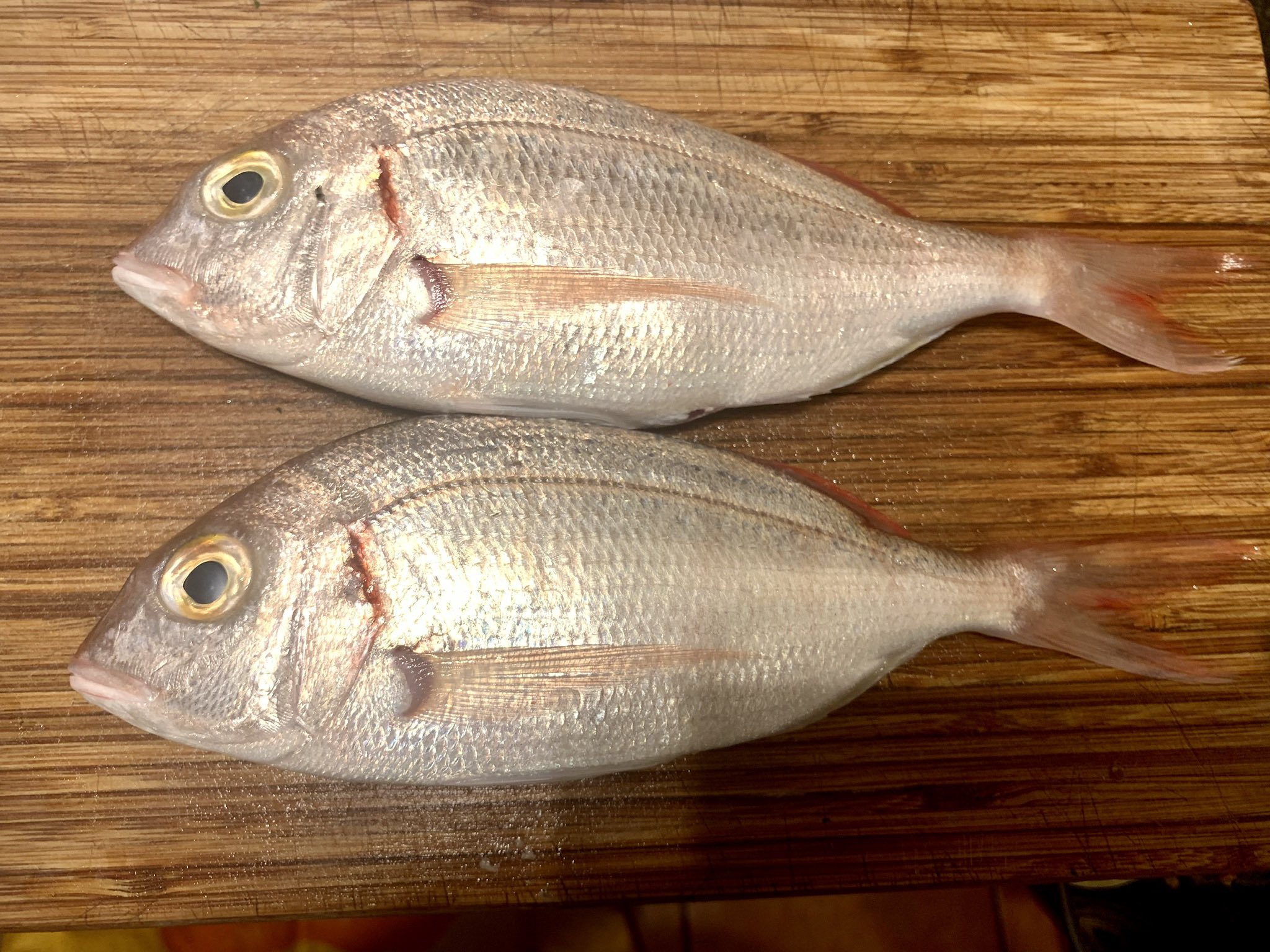 プリヒル姉さん ロンドン魚屋 近所のお魚屋さんで買った小さい鯛の仲間のお魚 名はまだ不明 を明日一夜干しにする 海外で作る和食 T Co W2iqjfvi9g Twitter