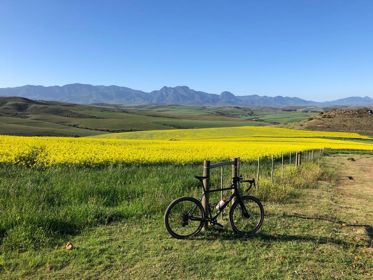 TeamPureSavage's tweet photo. Little bit of farm and gravel this weekend!! Seen some cracking rides on https://t.co/MTZka36w4b!!! Looks like the perfect weekend for riding!! #gravel4days #PureSavage #rookscout https://t.co/SnibVByGSH