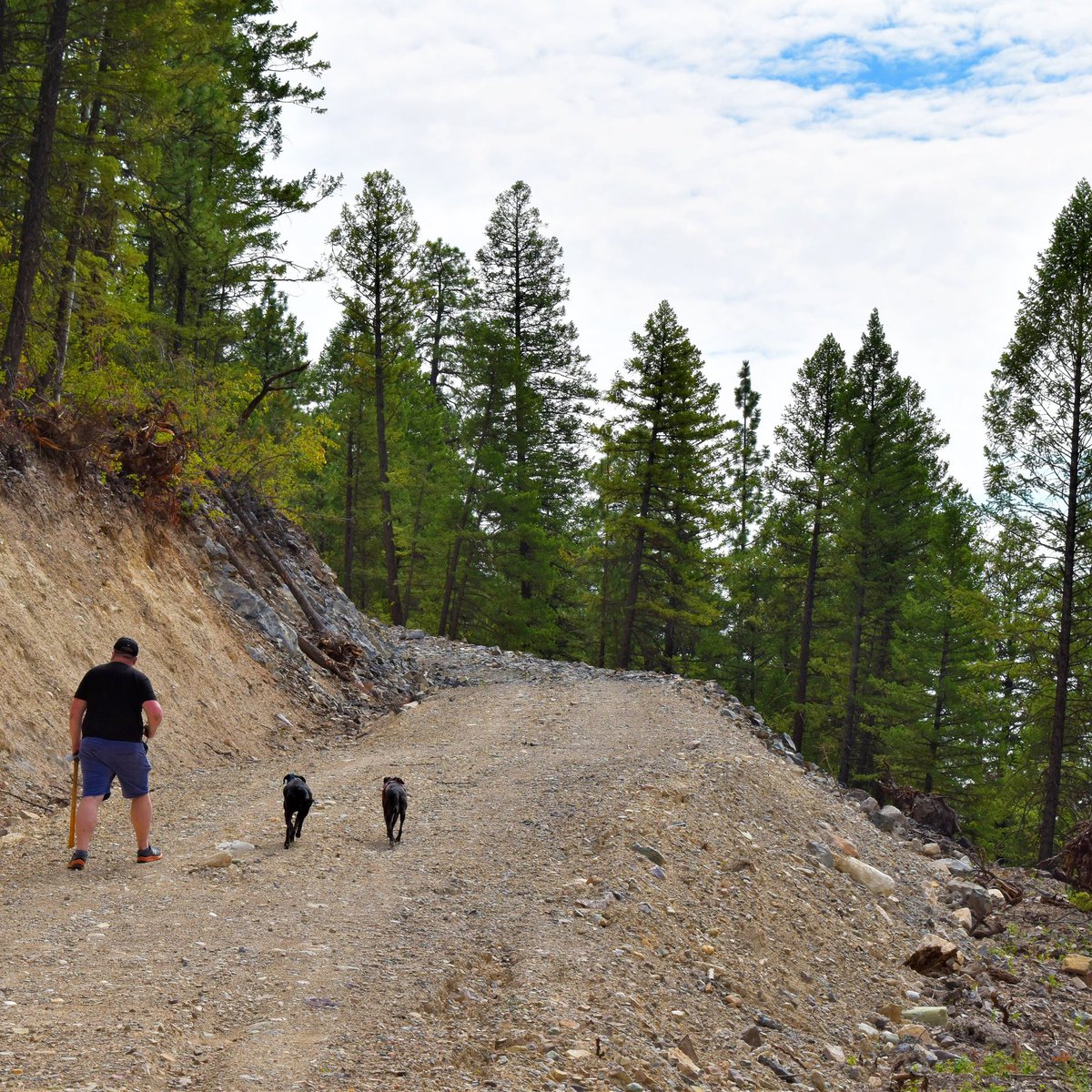 StrataGeoData's tweet photo. My two four-legged field assistants ... #fielddogs https://t.co/RiagNpYdnF