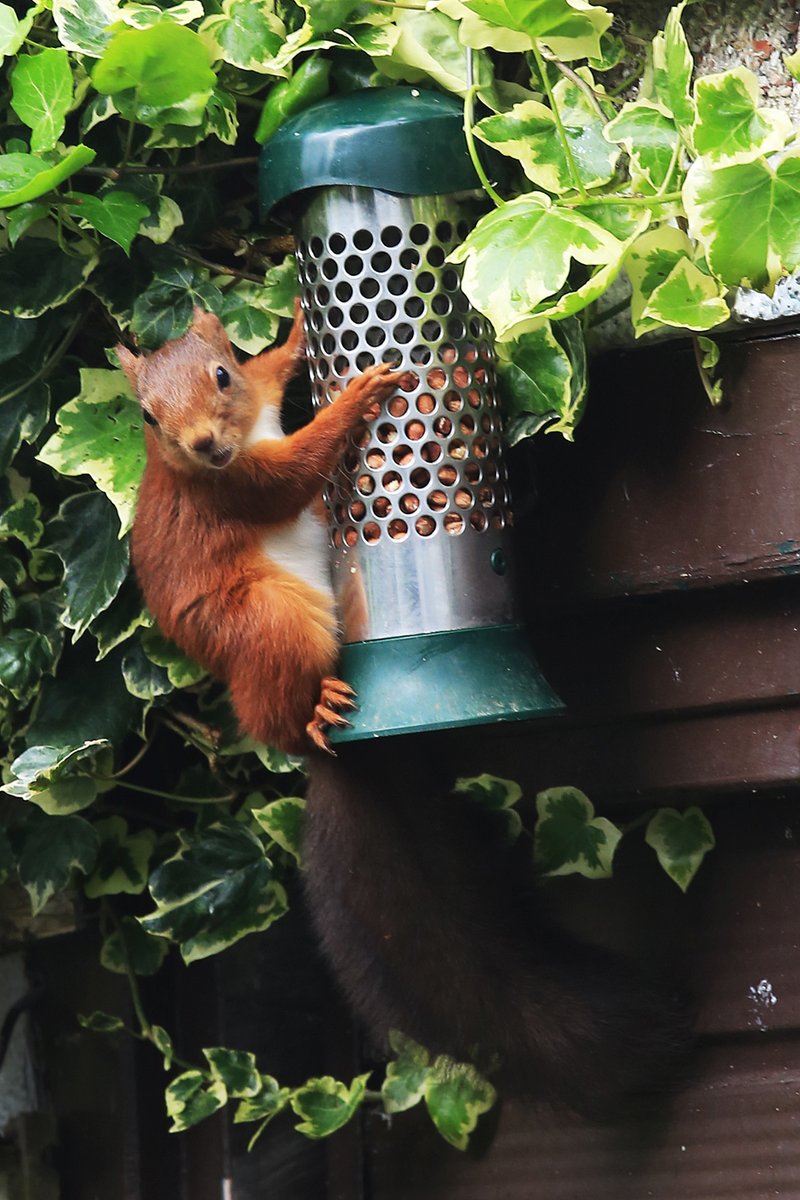 Martin Rogers tweet media