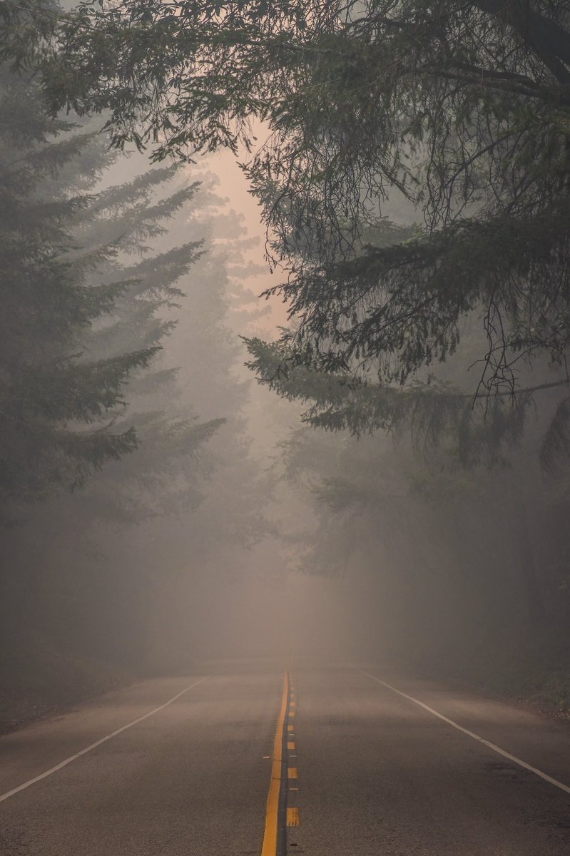 CHPscrz's tweet image. Bonny Doon Road #CZULightningComplex