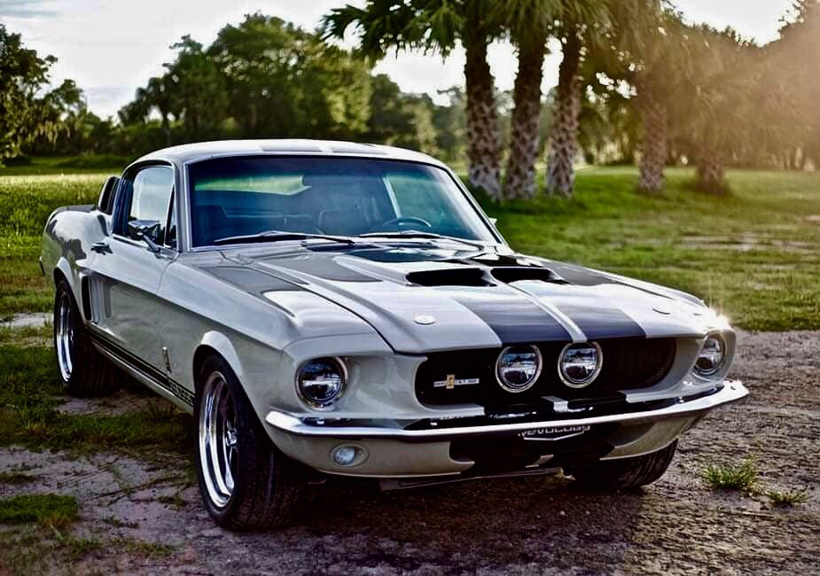 Cobra3dD's tweet photo. “Shelby Saturday” 🏁🖤🏁 https://t.co/uVz0GrkPMR