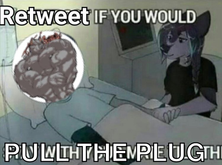 NormTheWolf's tweet photo. Would you do it????🥺🥺🥺🥺 @NormTheWolf  #no #uwu https://t.co/RVsMIDeYru