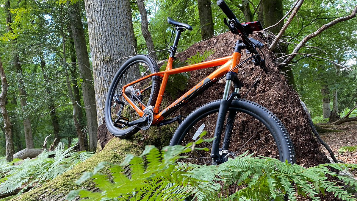 MaotWorld's tweet photo. Time to relax New Forest on MTB #cycling #cyclingpics #cyclinguk https://t.co/xhaLP1LtTM