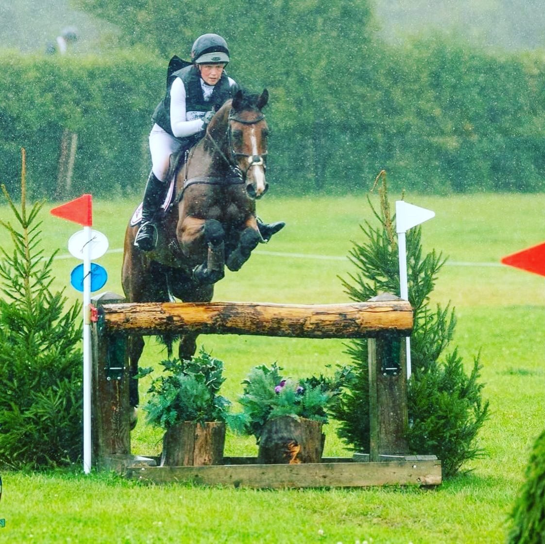 Inchello DHI speedy double clear to finish in the top 15 in his first 3*S🤩 <a href="/MondialduLion/">Mondial du Lion</a> 7yo qualification✔️ 📸 <a href="/tim_wilko/">Eventing Images</a>