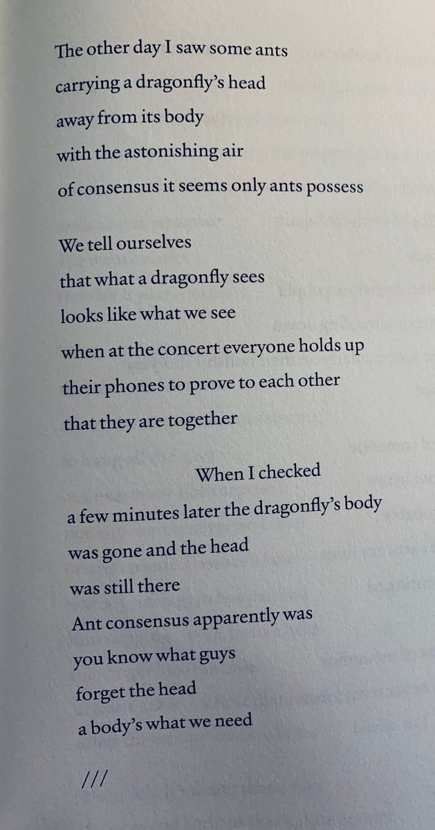 VChangPoet's tweet photo. “We tell ourselves/that what a dragonfly sees/looks like what we see...” -Mark Bibbins, 13th Balloon https://t.co/NJSLMqNWsQ